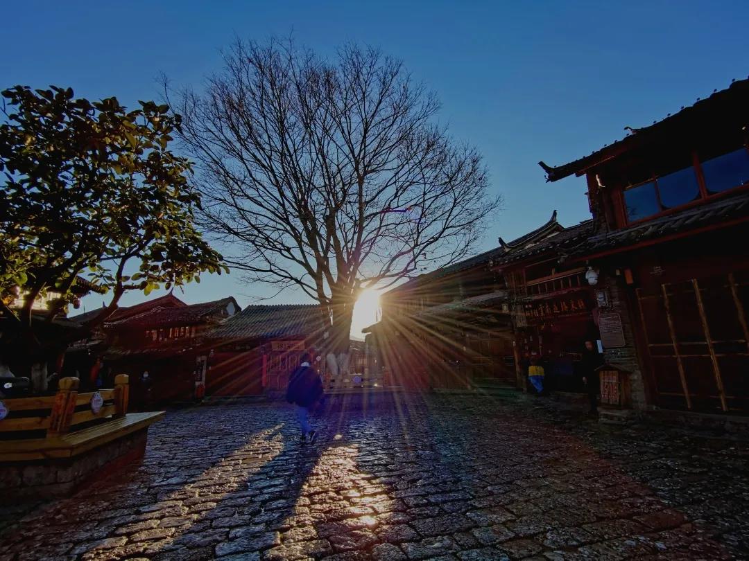 藍(lán)天暖陽，古巷冬花，它當(dāng)屬滇西北最安逸的日光之城！