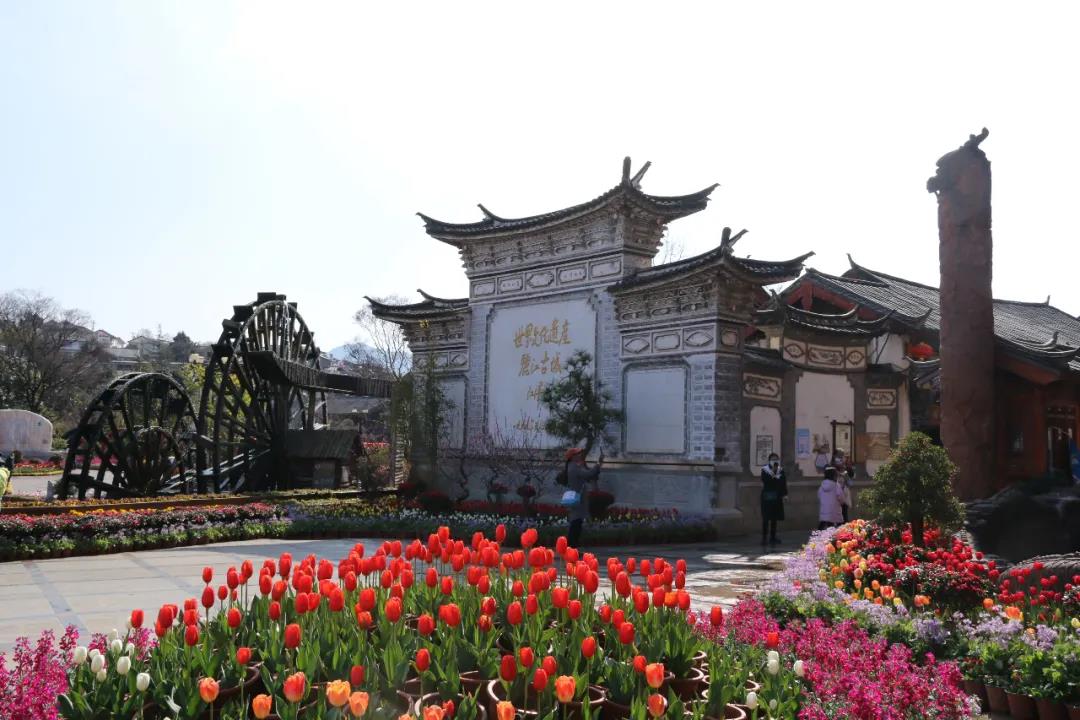 年味足、春意濃! 麗江古城春節(jié)假日旅游回暖