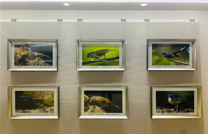 多維度展示滇西北生物多樣性！麗江這個(gè)中心值得一去