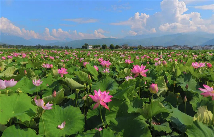 去永勝，開(kāi)啟一段人文風(fēng)情的絕美之旅！