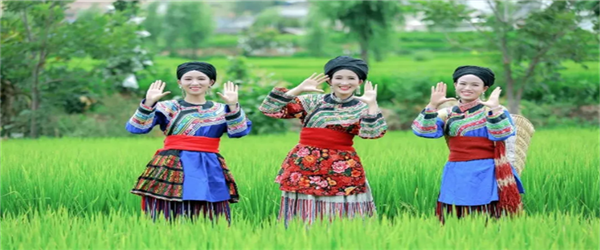 相約水鄉(xiāng)，邂逅激情！華坪縣新莊鄉(xiāng)首屆鄉(xiāng)村旅游節(jié)即將開幕