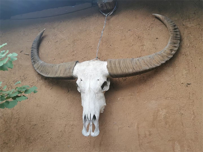 麗江納西生活體驗(yàn)團(tuán)建