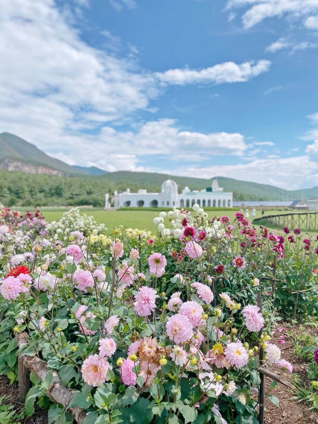 麗江聽(tīng)花谷餐廳