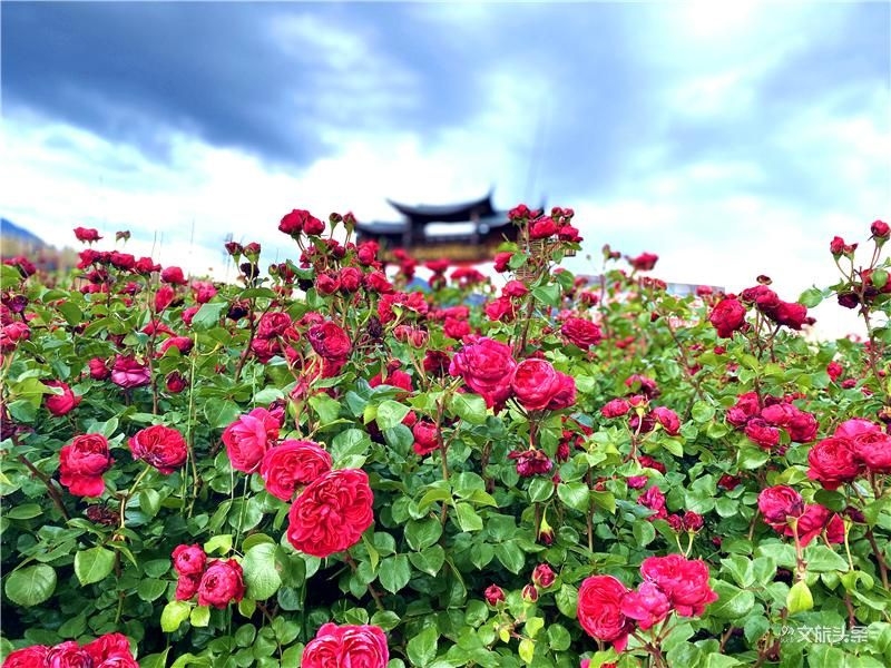 第三批全國鄉(xiāng)村旅游重點村玉龍縣拉市鎮(zhèn)均良村