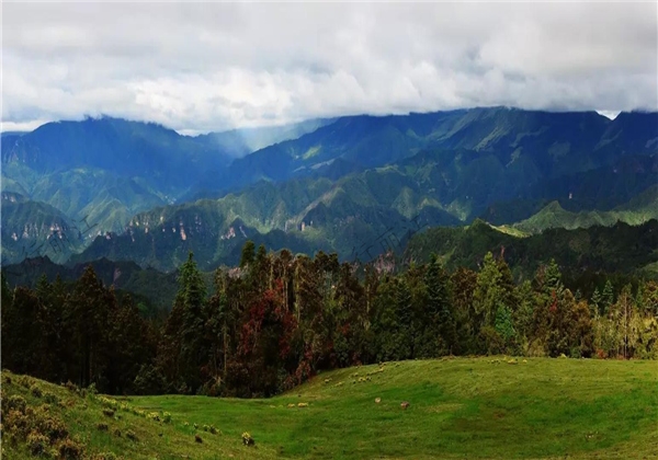 不用去呼倫貝爾大草原，麗江這個“天上草原”美哭你！